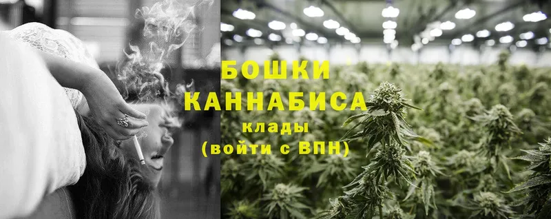 Шишки марихуана THC 21%  Нововоронеж 