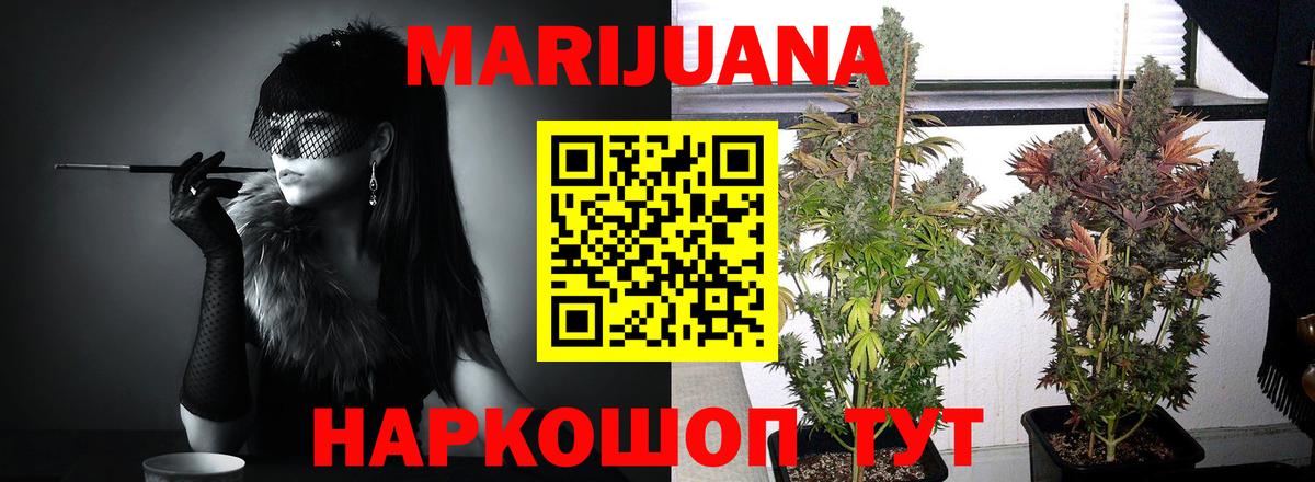 Нововоронеж  Конопля SATIVA & INDICA  Вход с VPN  Бошки марихуана план  Бошки марихуана гибрид 